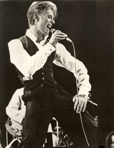 David Bowie Let's Dance Tour Rock Star Music Poster Art 11x14 
| David Bowie Photo Poster Art Let's Dance Tour 11x14 Ro